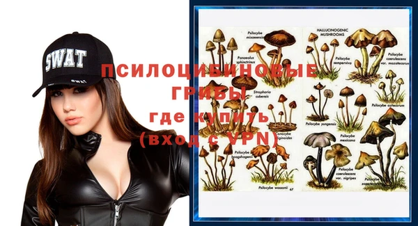 mix Пересвет