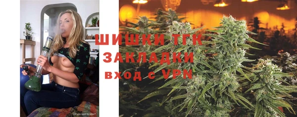 mix Пересвет