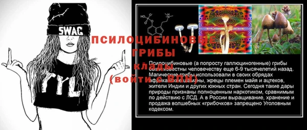 mix Пересвет